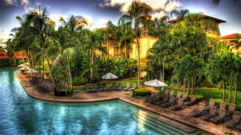 Download HDR Pool Hotel Palm Tree Tropical Man Made Resort HD Wallpaper