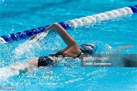 108421 Freestyle Swimming Race Stock Photos High Res Pictures And