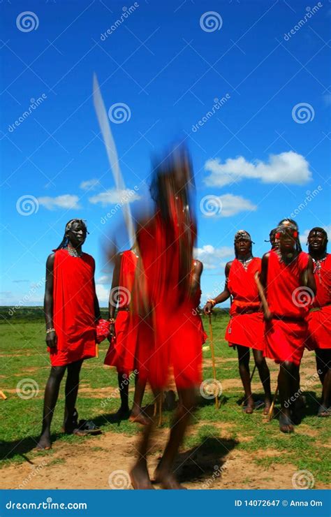 Masai Warrior Dancing Traditional Dance Editorial Photography Image