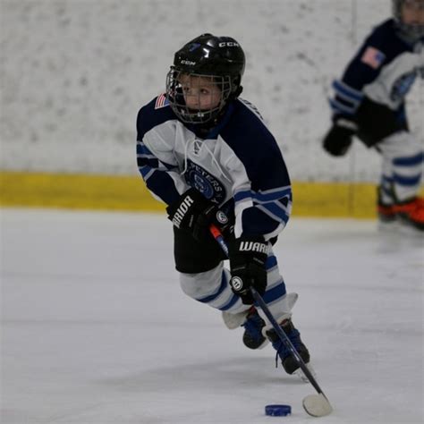 Carshield Aaa Hockey Spring 9u 2015 Roster Spring Program 2024