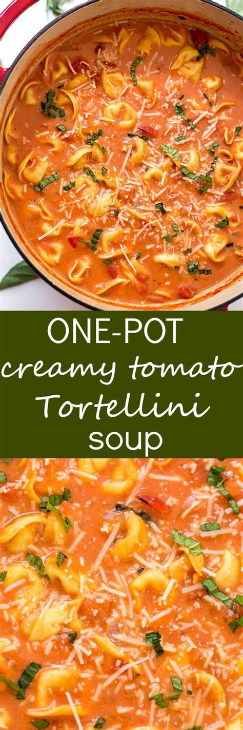 One Pot Creamy Tomato Tortellini Soup Recipe Yourcooknow