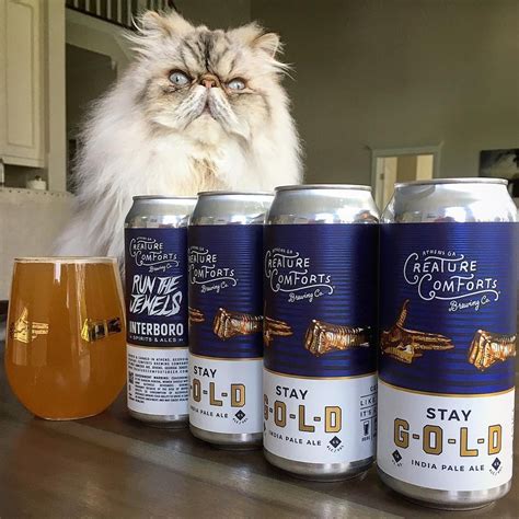 The 12 Best Beer Drinking Pets On Instagram • Hop Culture