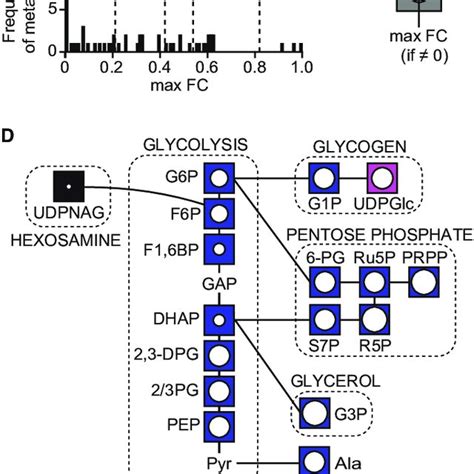 Overlaying Temporal Metabolomics And Phosphoproteomics Data Reveal That