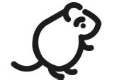 Sorkar: Bekämpning, produkter & checklista