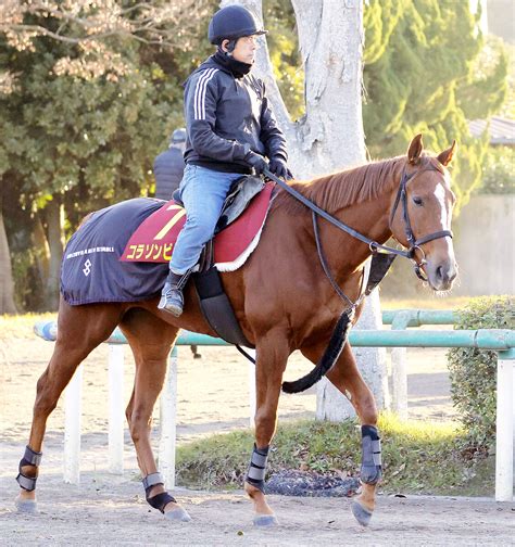 【阪神jf】コラソンビート5枠10番に決定 陣営「内に入るよりは全然いい」 Umatoku 馬トク