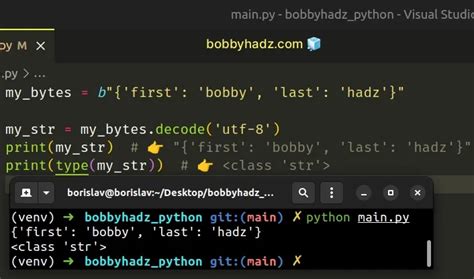 Python Json Loads Bytes