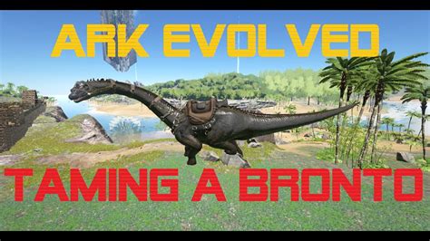 Ark Evolved Solo Taming A Lvl 116 Bronto YouTube