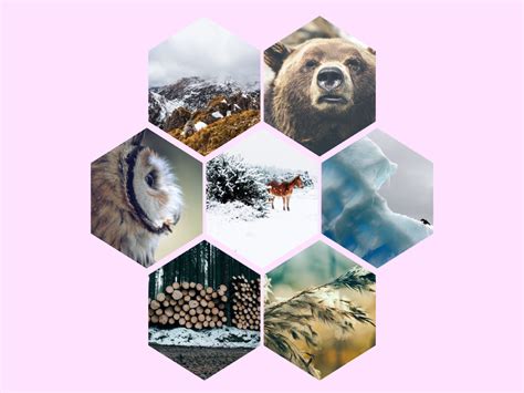 Css Hexagon Grid Image Gallery Codehim