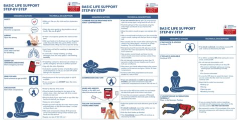 Linee Guida Erc Primo Soccorso Rianimazione Cardiopolmonare