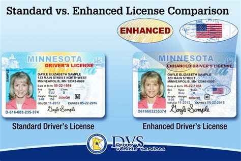 Enhanced Minnesota Driver’s License Available Alexandria Echo Press News Weather And Sports