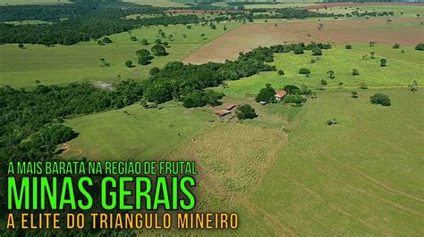 Fazenda A Venda Em Minas Gerais A Mais Barata Em Frutal Mg Youtube