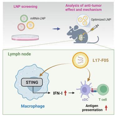 Mrna Molecular Therapy X Mol