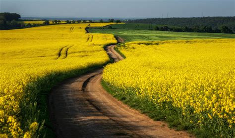 Dreamy Pixel | South Moravia landscape and farmland in the spring ...