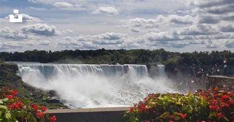 Red Flowers Near Waterfalls Under Cloudy Sky During Daytime Photo