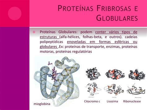 Ppt Proteínas Powerpoint Presentation Free Download Id755161