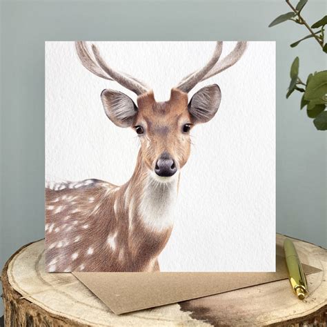 Deer Card Deer Greetings Card Chital Deer Card Spotted Deer Card