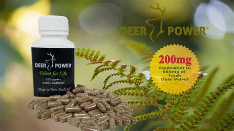 Deer Velvet Antler 120 Capsules 200mg Deer Velvet Capsules New Zealand