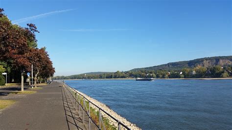 Bonn Rhein Ufer Kostenloses Foto Auf Pixabay Pixabay