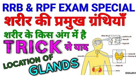 Gk Trick प्रमुख ग्रन्थियों की मानव शरीर में अवस्थिति याद करने की ट्रिक Location Of Glands In