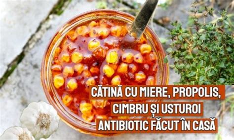 Catina Cu Miere Propolis Cimbru Si Usturoi Antibiotic Natural