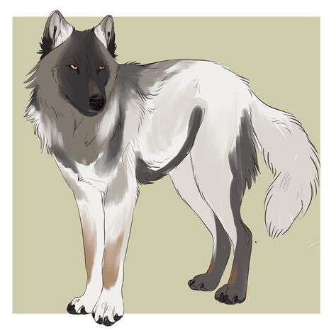 Forest By Bleuzye On Deviantart Canine Drawing Canine Art Anime Wolf