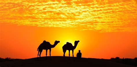 Thar Desert Rajasthan Sunrise Sunset Times