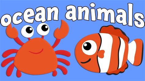 Ocean Animals For Kids Research