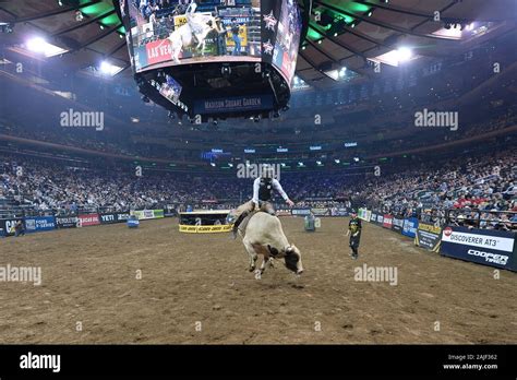 Madison Square Garden New York USA 3rd Jan 2020 Professional Bull