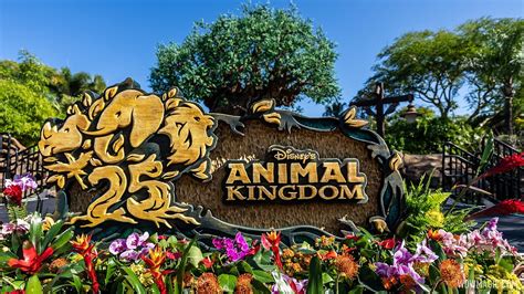 Disney's Animal Kingdom