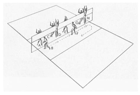 Ejercicios De Bloqueo En El Voleibol Sep Nino Versace