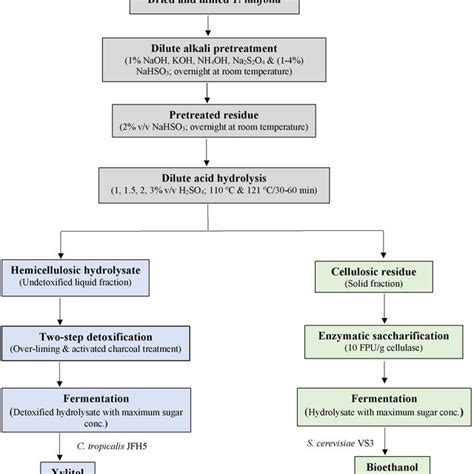 Experimental Overview Of Xylitol And Bioethanol Production From