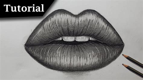 How To Draw Lips Step By Step Tutorial Lips Drawing Pencil