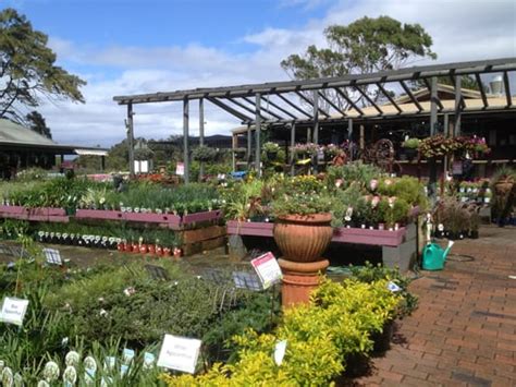 Plants Plus Updated May Gardeners Rd Eastlakes New South