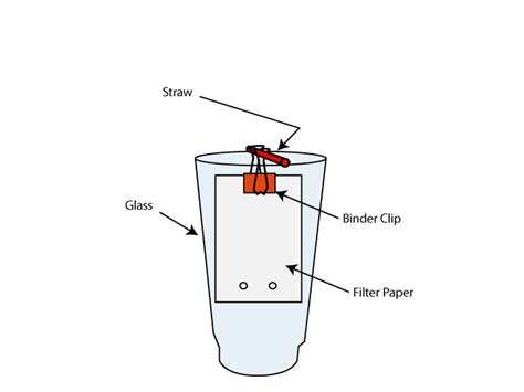 Candy Chromatography | Science project | Education.com