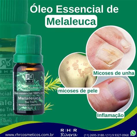 Leo Essencial De Melaleuca Leo Essencial Melaleuca Leo