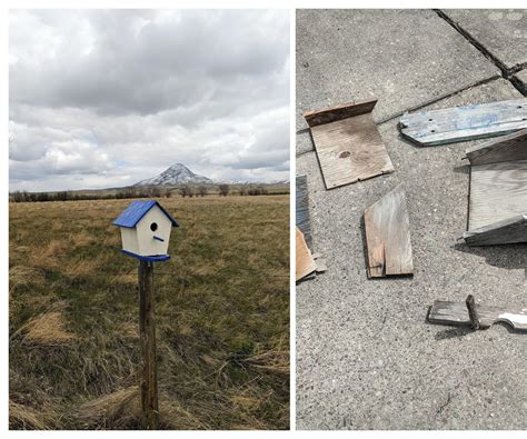 Restoring Grandpa's Bird House : 7 Steps - Instructables