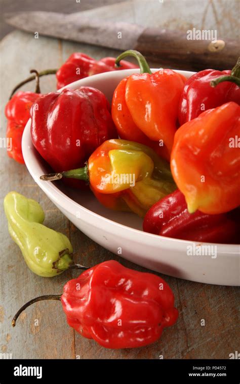 Hot Chili Peppers Stock Photo Alamy