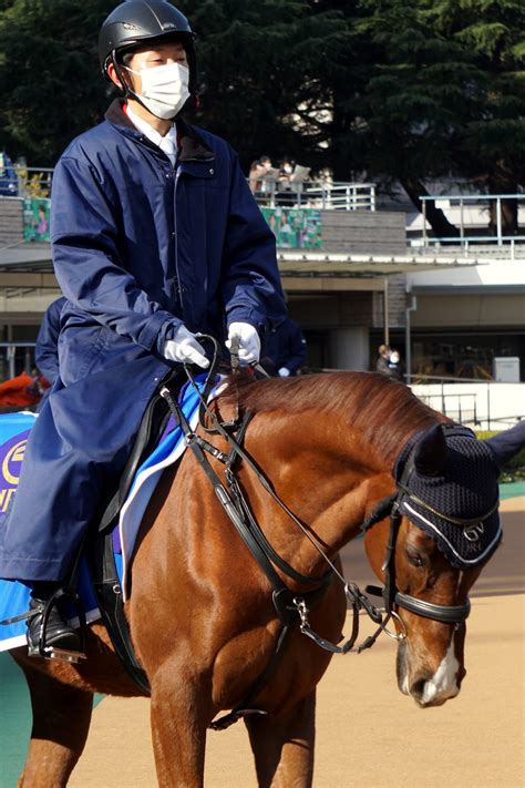 2月12日東京競馬誘導馬★マイネルホウオウファントムグレイクリプトグラム★マイネルラクリマ 公式：黒澤ひかりのキラキラ日記