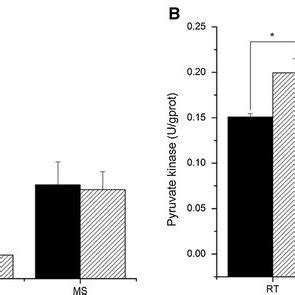 Activities Of Rate Limiting Enzymes Hexokinase A And Pyruvate Kinase