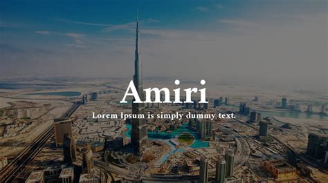 Amiri Bold Font Xfontspro