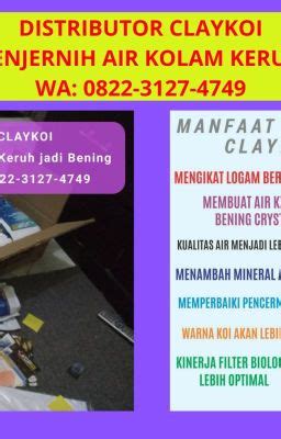 Read Stories Harga Cara Menjernihkan Air Kolam Ikan Berwarna Hijau