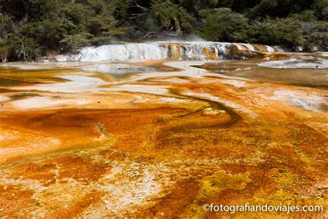 Qu Ver En La Isla Norte De Nueva Zelanda Lugares Imprescindibles