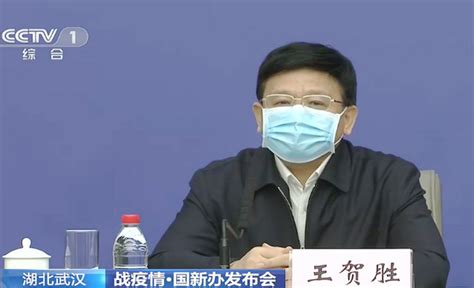 王贺胜：湖北一半以上确诊病例使用了中医药治疗 视频 第一健康报道