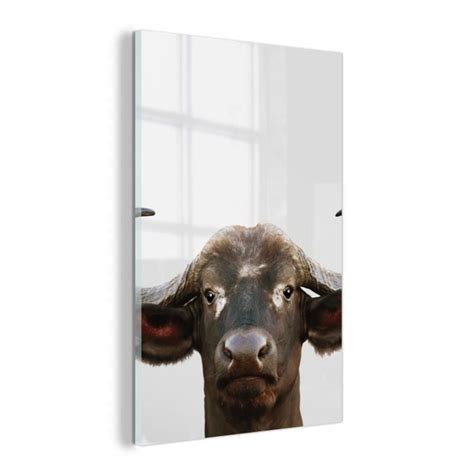 Tableau Toile Muchowow Portrait X Cm Buffle Buffle D Eau