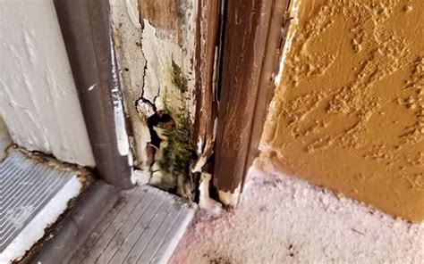 What To Do If You Have A Rotted Door Frame — Boss Jamb