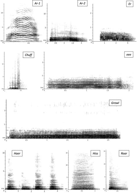 Spectrograms Of Nine Call Types Of Captive Amur Tiger Cubs Download Scientific Diagram