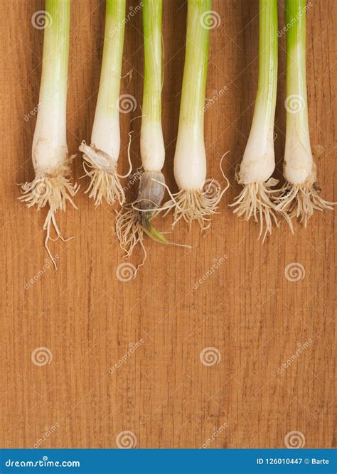 Fresh Organic Spring Onions on Wood Stock Image - Image of rustic