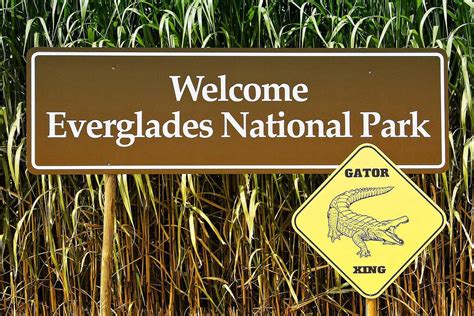 11 Interesting Facts About Everglades National Park National Parks Etc