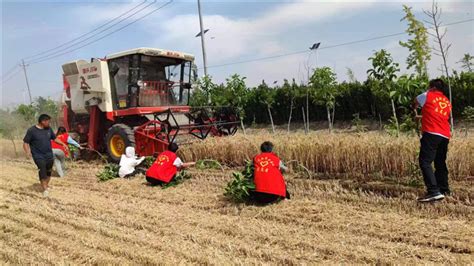 西华华泰街道办事处：麦收服务队助力“三夏”保丰收 中华龙都网 周口报业传媒集团主办 河南省重点新闻网站