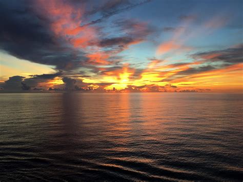 marine biology medium